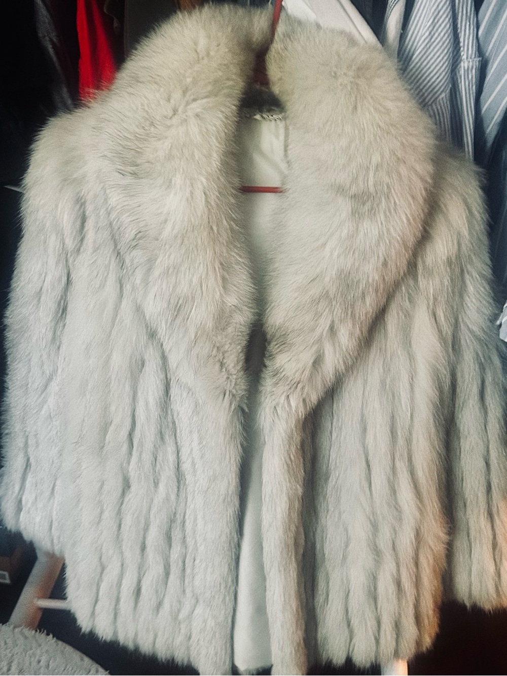 Blue Fox Fur Cream Teddy Jacket with Luxe Fur Collar